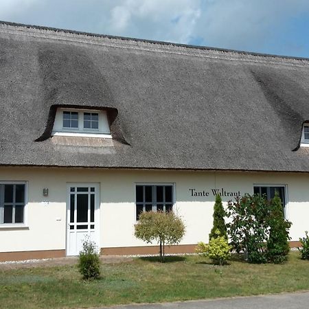 Villa Haeuschen "Tante Waltraut" à Garz  Extérieur photo