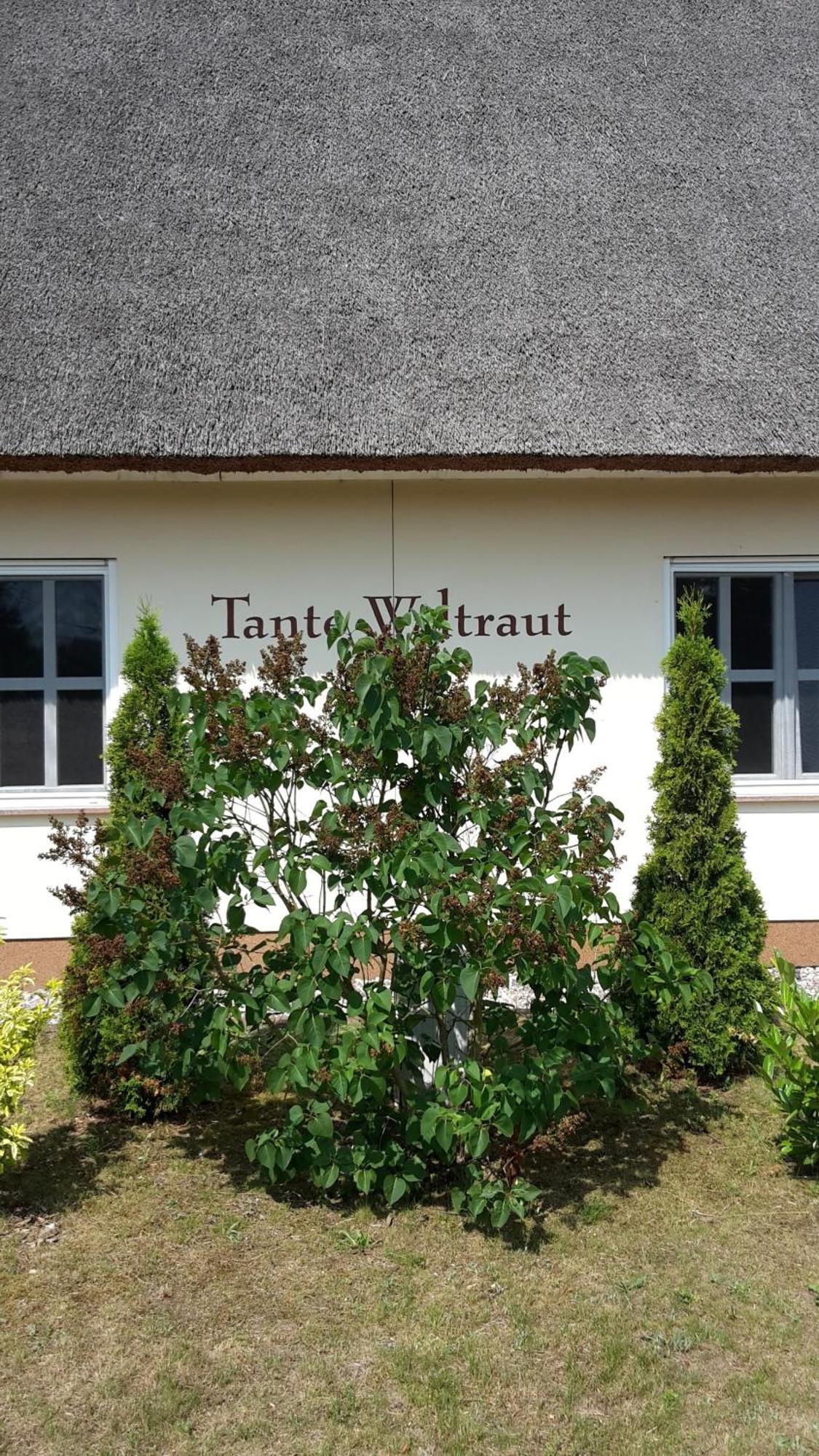 Villa Haeuschen "Tante Waltraut" à Garz  Extérieur photo